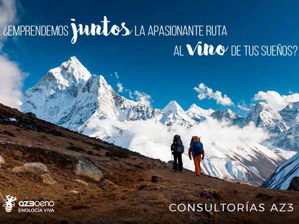 CONSULTORÍAZ3, shall we embark on the exciting route to the wine of your dreams together?