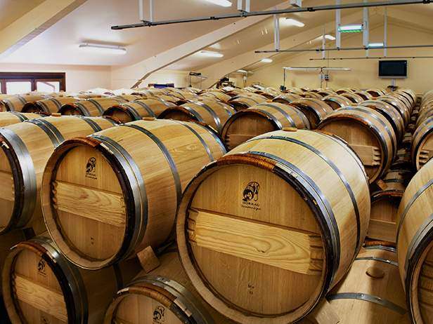Barrel sensory scan