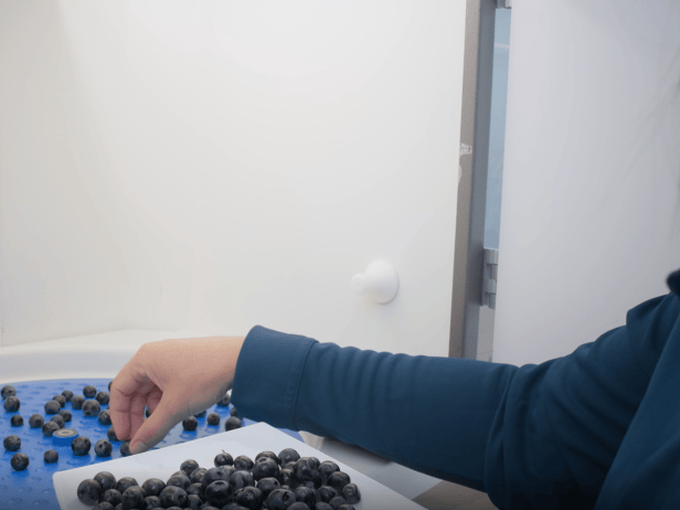 Maturation consulting