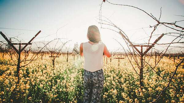 Love starts in the vineyard