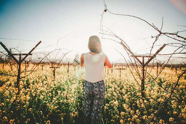 Love starts in the vineyard