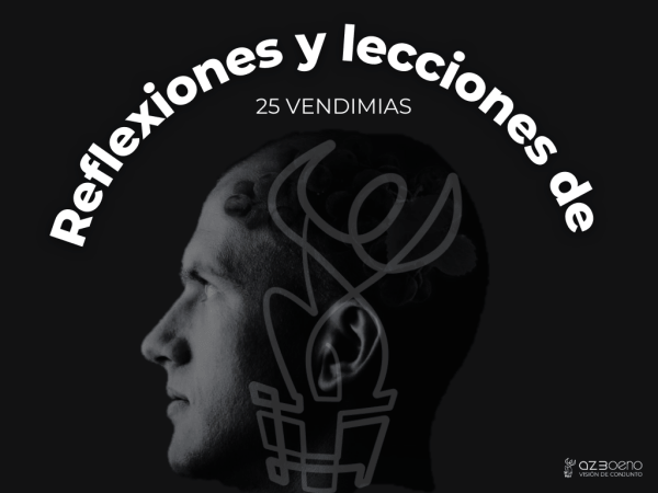 Reflexiones y lecciones de 25 vendimias 