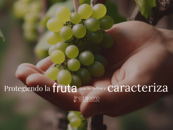 Protegiendo la fruta que te define y caracteriza