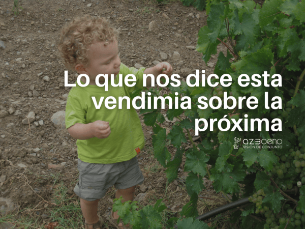 Lo que nos dice esta vendimia sobre la próxima